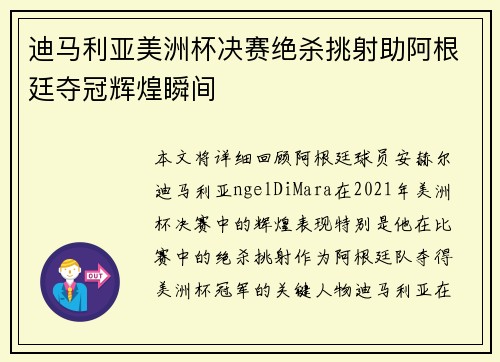 迪马利亚美洲杯决赛绝杀挑射助阿根廷夺冠辉煌瞬间 迪马利亚美洲杯决赛绝杀挑射助阿根廷夺冠辉煌瞬间