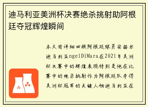迪马利亚美洲杯决赛绝杀挑射助阿根廷夺冠辉煌瞬间